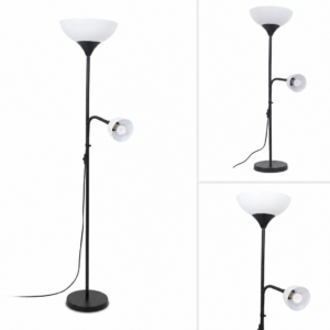 Studio Lamp